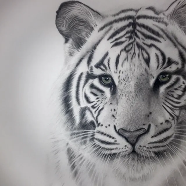 虎の絵画