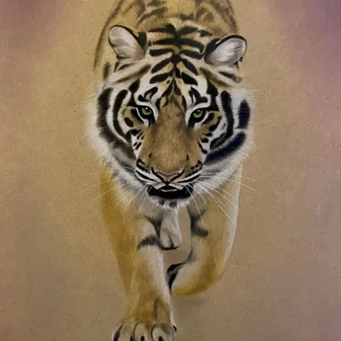 虎の色鉛筆画　前へ