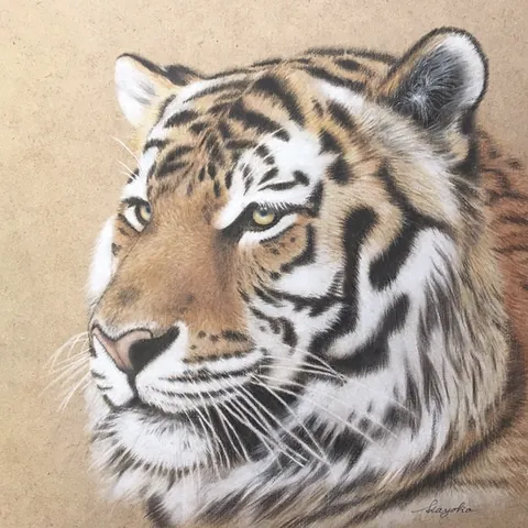 虎の色鉛筆画　吽