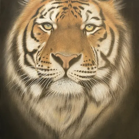 虎の色鉛筆画　未来を見つめて