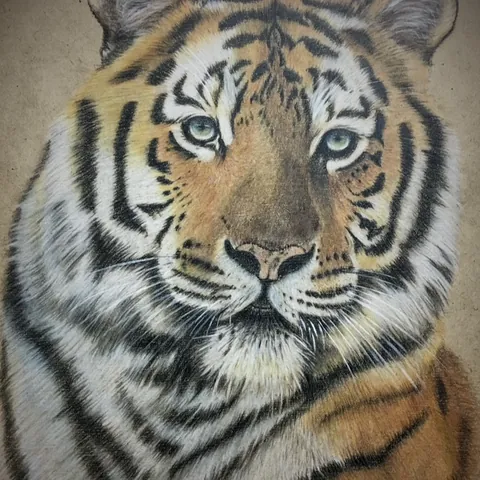虎の色鉛筆画　無題10