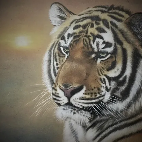 虎の色鉛筆画　無題12