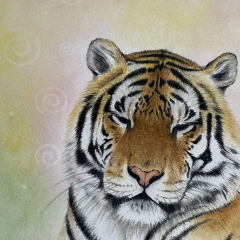 虎の色鉛筆画　無題１