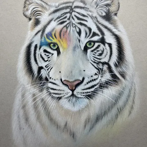虎の色鉛筆画　無題２