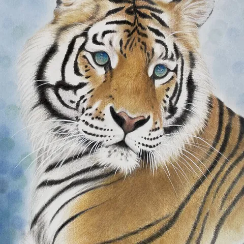 虎の色鉛筆画　この先に見えるもの