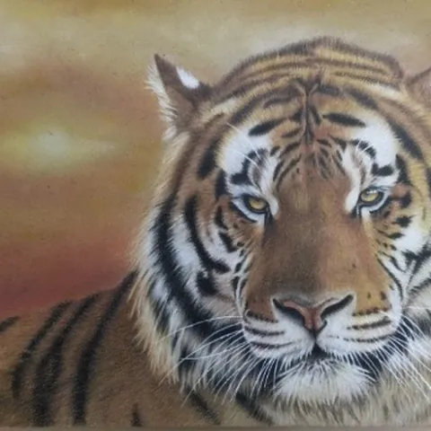 虎の色鉛筆画　無題６