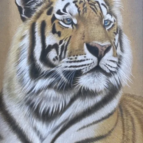 虎の色鉛筆画　無題７