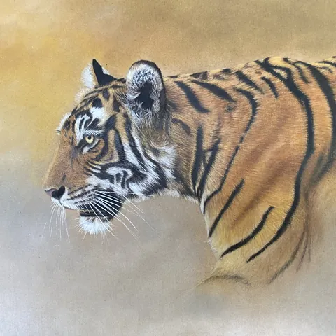 虎の色鉛筆画　生きる