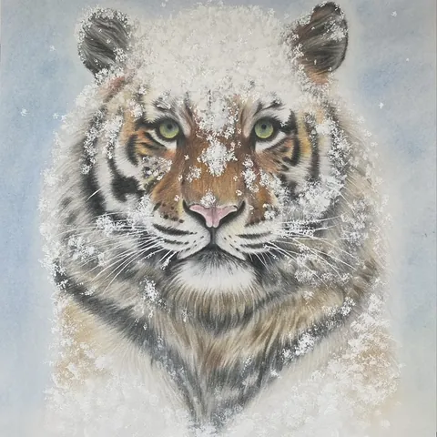 虎の色鉛筆画　真っ白な心