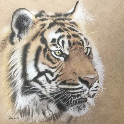 虎の色鉛筆画　阿