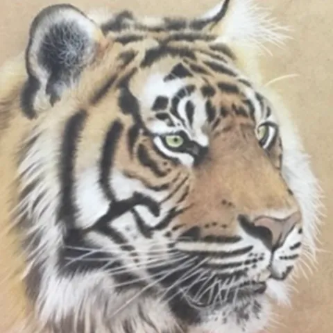 虎の色鉛筆画　阿吽の虎