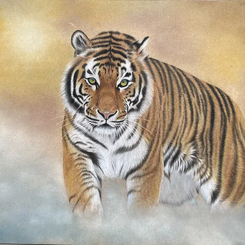 虎の色鉛筆画　静寂