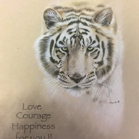 虎の色鉛筆画　ニキータ