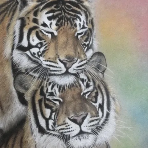 虎の色鉛筆画　兄弟
